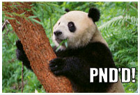 Panda climbing a tree with PND'D! text